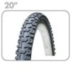 Chaoyang 20" -Schwalbe Ventas 20