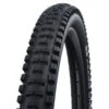 Schwalbe Big Betty 20