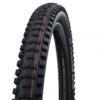 Schwalbe Big Betty 26