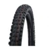 Schwalbe Magic Mary 29